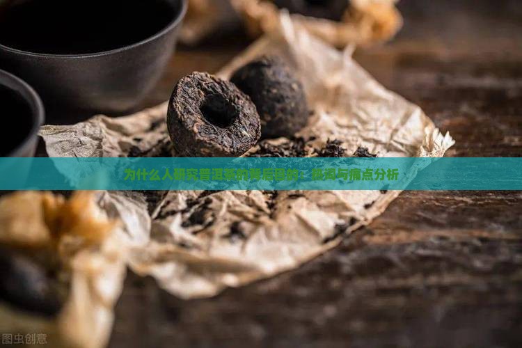 为什么人研究普洱茶的背后目的：热词与痛点分析