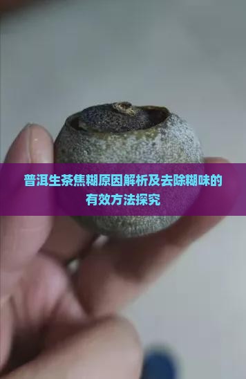 普洱生茶焦糊原因解析及去除糊味的有效方法探究
