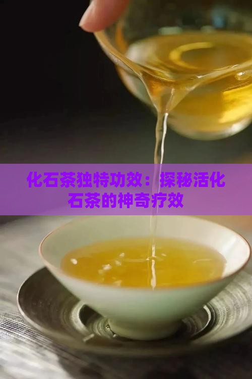 化石茶独特功效：探秘活化石茶的神奇疗效