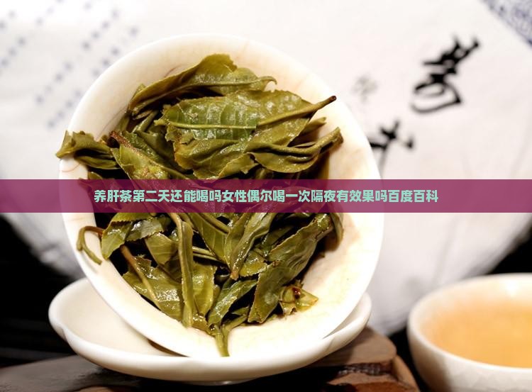 养肝茶第二天还能喝吗女性偶尔喝一次隔夜有效果吗百度百科