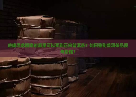 楚雄恐龙园附近哪里可以买到正宗普洱茶?如何鉴别普洱茶品质与价格? 楚雄恐龙园附近哪里可以买到正宗普洱茶?如何鉴别普洱茶品质与价格?