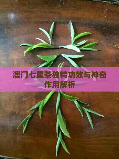 澳门七星茶独特功效与神奇作用解析 澳门七星茶独特功效与神奇作用解析