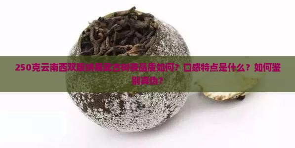 250克云南西双版纳易武古树茶品质如何？口感特点是什么？如何鉴别真伪？