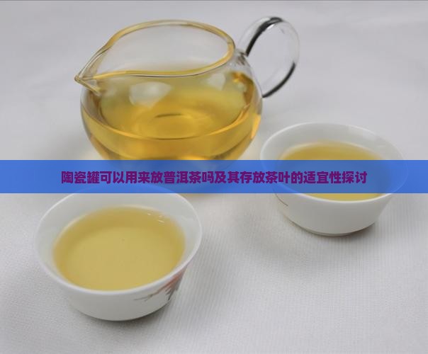 陶瓷罐可以用来放普洱茶吗及其存放茶叶的适宜性探讨 陶瓷罐可以用来放普洱茶吗及其存放茶叶的适宜性探讨
