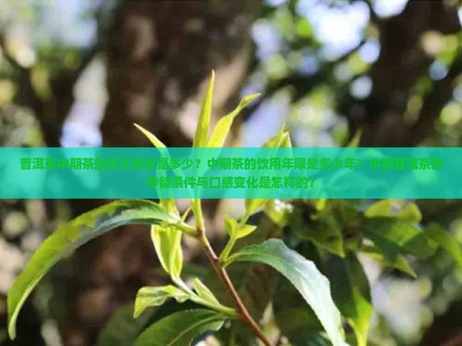 普洱茶中期茶的定义时长是多少?中期茶的饮用年限是多少年?中期普洱茶的存储条件与口感变化是怎样的? 普洱茶中期茶的定义时长是多少?中期茶的饮用年限是多少年?中期普洱茶的存储条件与口感变化是怎样的?