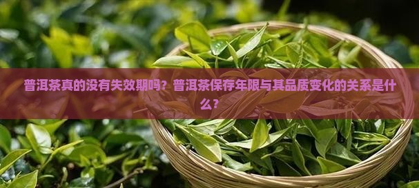 普洱茶真的没有失效期吗？普洱茶保存年限与其品质变化的关系是什么？