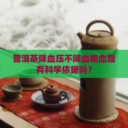 普洱茶降血压不降血糖血脂有科学依据吗？