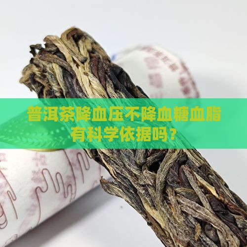 普洱茶降血压不降血糖血脂有科学依据吗？