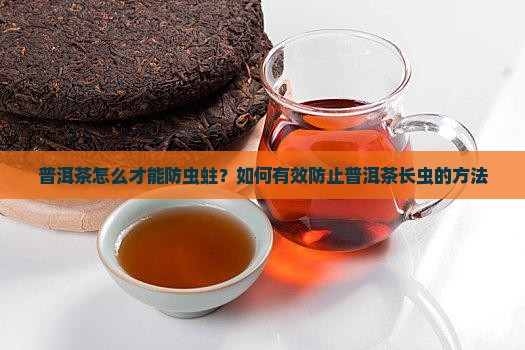 普洱茶怎么才能防虫蛀？如何有效防止普洱茶长虫的方法
