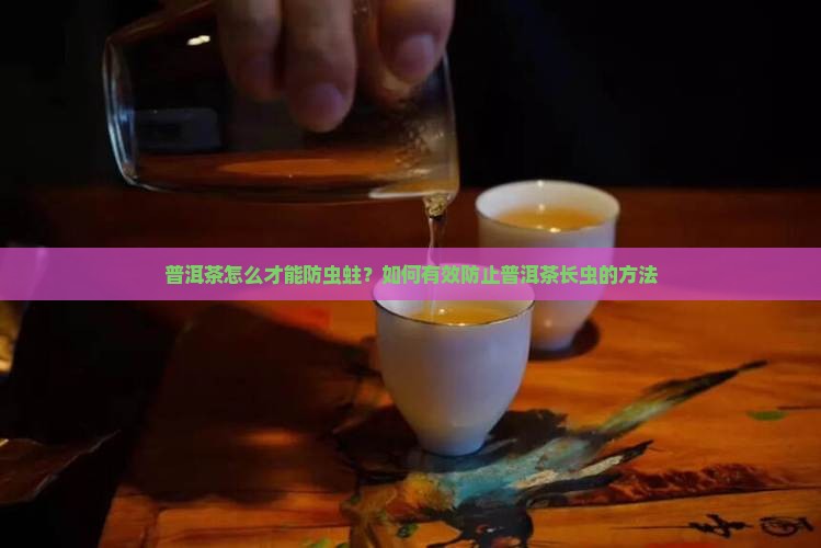 普洱茶怎么才能防虫蛀？如何有效防止普洱茶长虫的方法