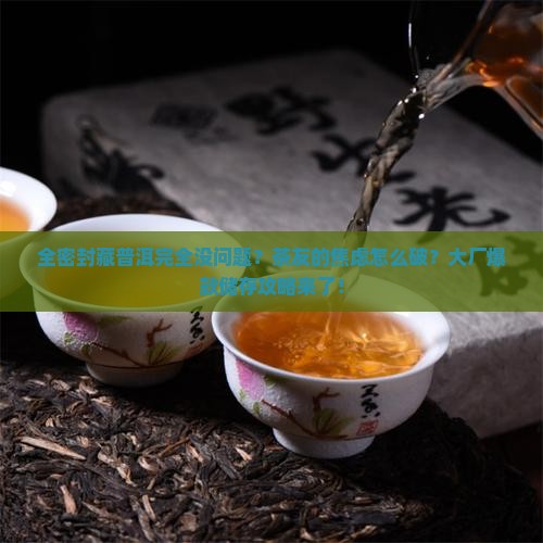 全密封藏普洱完全没问题？茶友的焦虑怎么破？大厂爆款储存攻略来了！