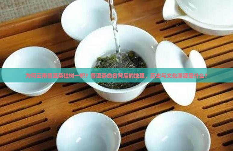 为何云南普洱茶独树一帜？普洱茶命名背后的地理、历史与文化渊源是什么？