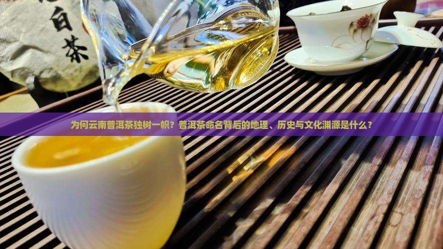 为何云南普洱茶独树一帜？普洱茶命名背后的地理、历史与文化渊源是什么？