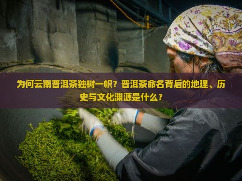为何云南普洱茶独树一帜？普洱茶命名背后的地理、历史与文化渊源是什么？