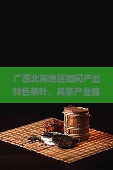 广西北海地区如何产出特色茶叶，其茶产业痛点与热词新词应用探讨？
