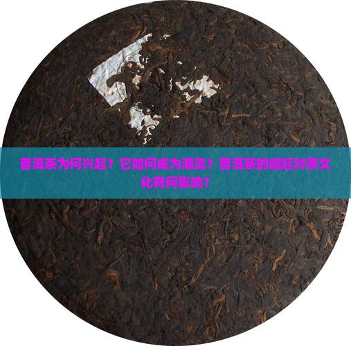 普洱茶为何兴起？它如何成为潮流？普洱茶的崛起对茶文化有何影响？