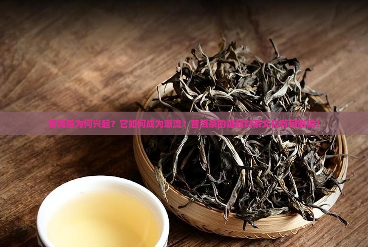普洱茶为何兴起？它如何成为潮流？普洱茶的崛起对茶文化有何影响？