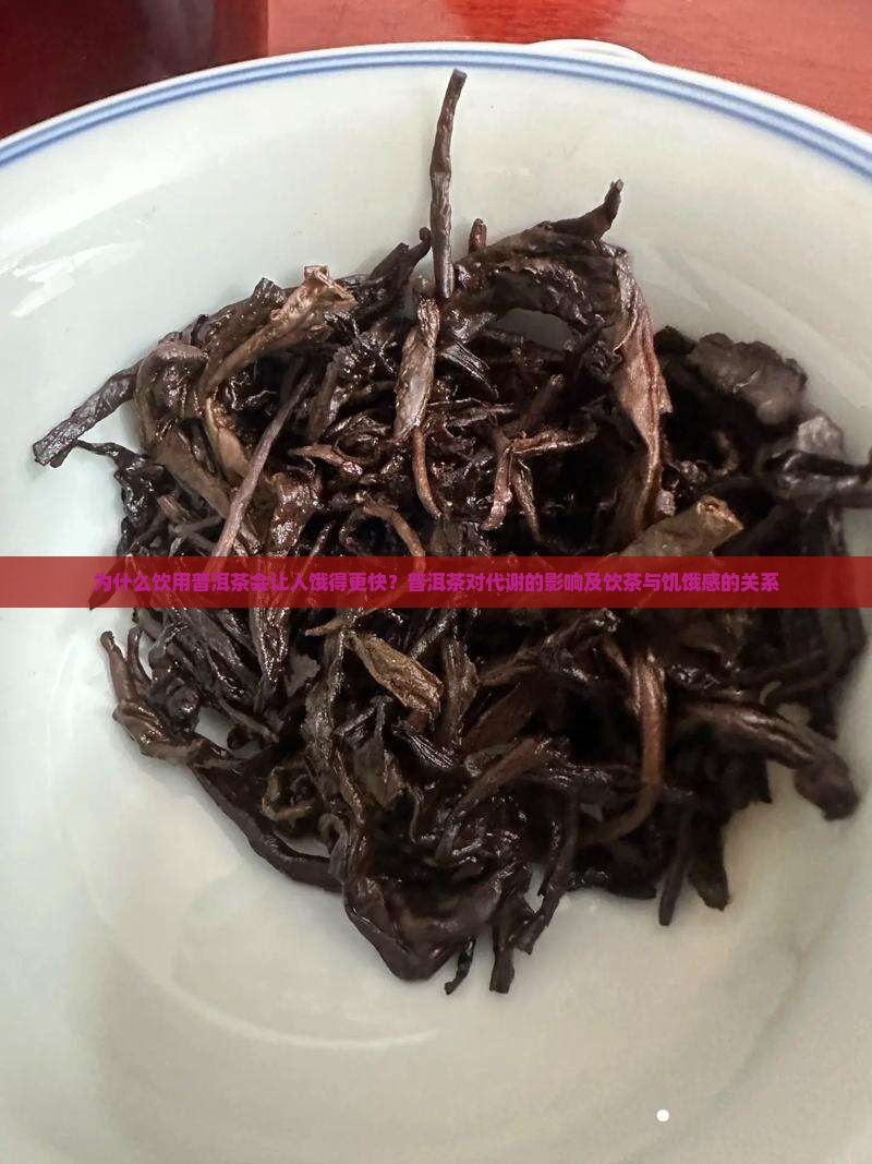 为什么饮用普洱茶会让人饿得更快？普洱茶对代谢的影响及饮茶与饥饿感的关系