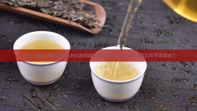 古六大茶山普洱茶生茶200为何如此受欢迎？探究其独特魅力与市场痛点！