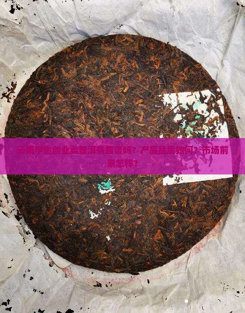 云南学生创业卖普洱茶靠谱吗？产品品质如何？市场前景怎样？