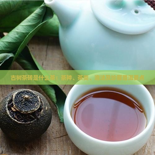 古树茶砖是什么茶：茶种、茶类、泡法及珍藏普洱要点