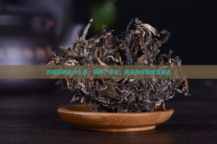 古树茶砖是什么茶：茶种、茶类、泡法及珍藏普洱要点