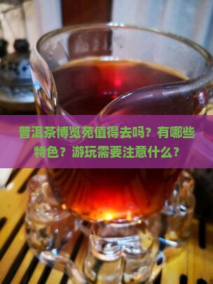 普洱茶博览苑值得去吗？有哪些特色？游玩需要注意什么？