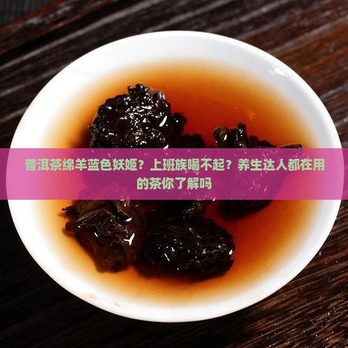 普洱茶绵羊蓝色妖姬？上班族喝不起？养生达人都在用的茶你了解吗