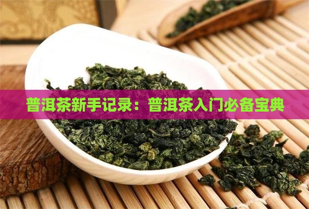 普洱茶新手记录：普洱茶入门必备宝典
