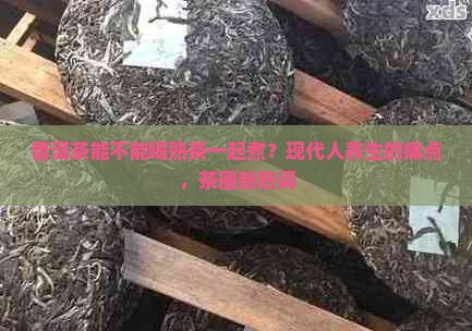 普洱茶能不能喝熟茶一起煮？现代人养生的痛点，茶圈新热词