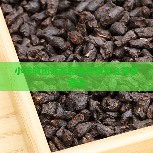 小龙凤团茶龙团凤饼茶怎么存放难题