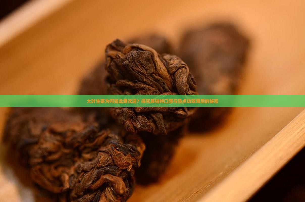 大叶生茶为何如此受欢迎？探究其独特口感与热点功效背后的秘密