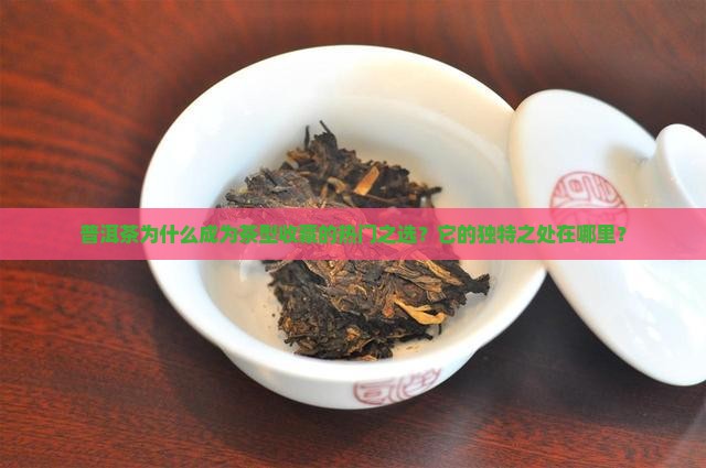 普洱茶为什么成为茶型收藏的热门之选？它的独特之处在哪里？