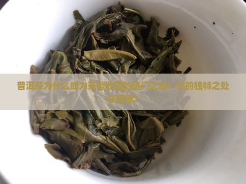 普洱茶为什么成为茶型收藏的热门之选？它的独特之处在哪里？