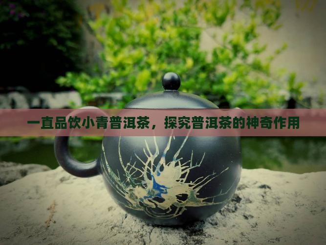 一直品饮小青普洱茶，探究普洱茶的神奇作用