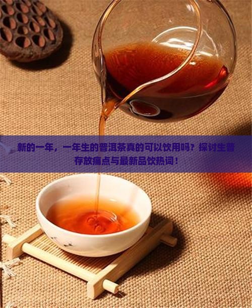 新的一年，一年生的普洱茶真的可以饮用吗？探讨生普存放痛点与最新品饮热词！