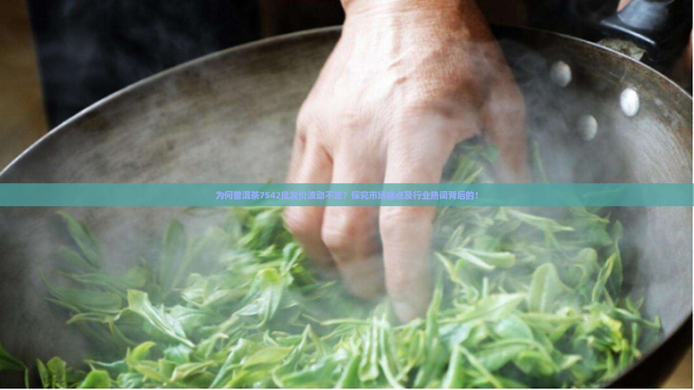 为何普洱茶7542批发价波动不定？探究市场痛点及行业热词背后的！