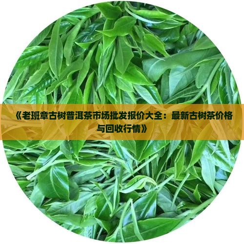 《老班章古树普洱茶市场批发报价大全：最新古树茶价格与回收行情》