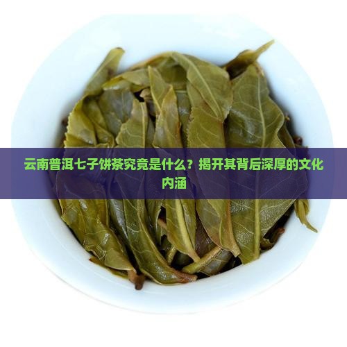 云南普洱七子饼茶究竟是什么？揭开其背后深厚的文化内涵