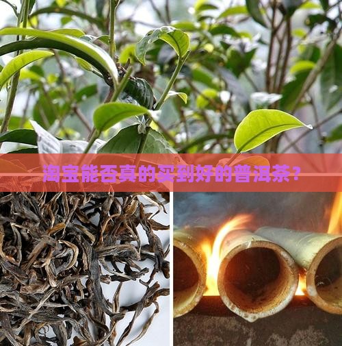 淘宝能否真的买到好的普洱茶？
