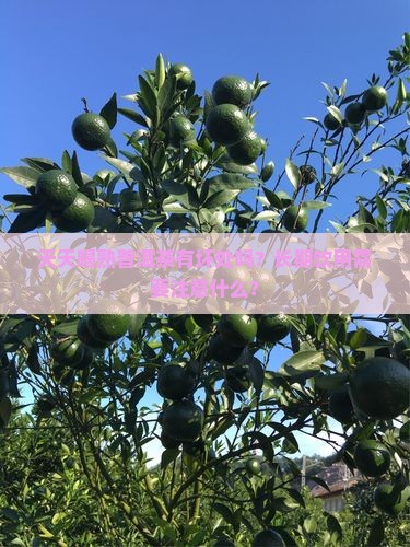 天天喝熟普洱茶有坏处吗？长期饮用需要注意什么？