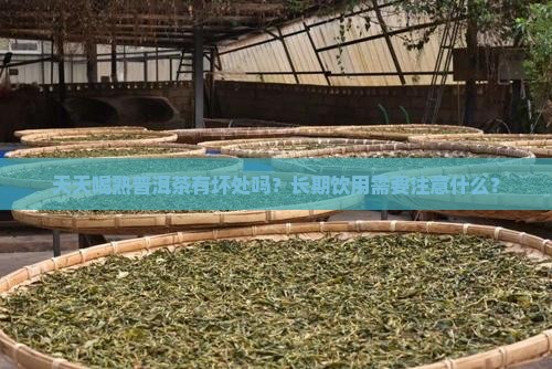 天天喝熟普洱茶有坏处吗？长期饮用需要注意什么？