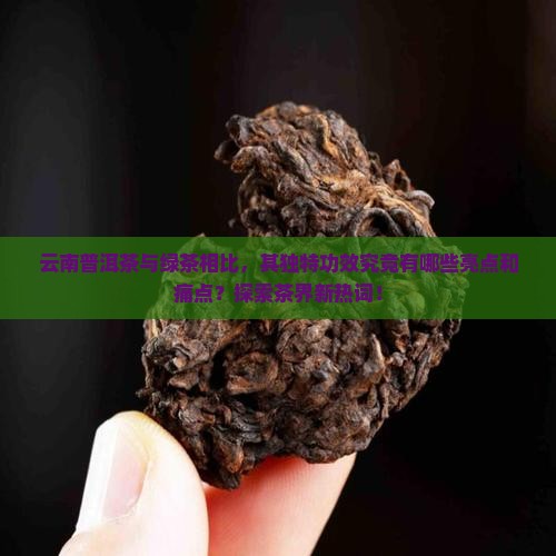 云南普洱茶与绿茶相比，其独特功效究竟有哪些亮点和痛点？探索茶界新热词！