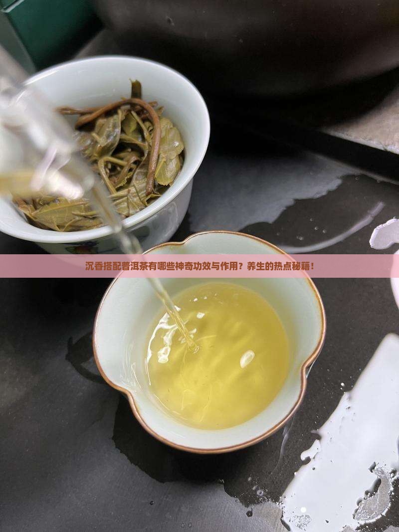 沉香搭配普洱茶有哪些神奇功效与作用？养生的热点秘籍！