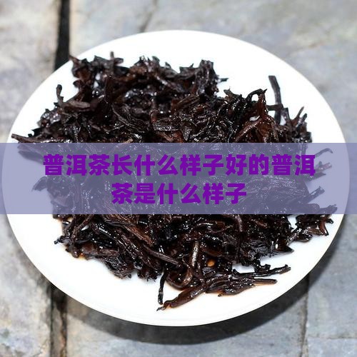 普洱茶长什么样子好的普洱茶是什么样子
