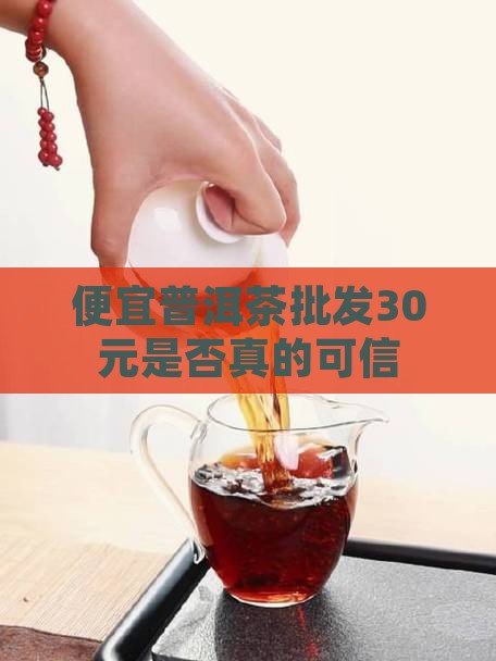 便宜普洱茶批发30元是否真的可信