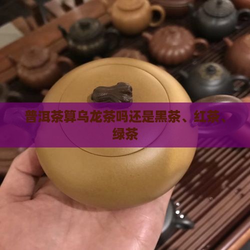 普洱茶算乌龙茶吗还是黑茶、红茶、绿茶