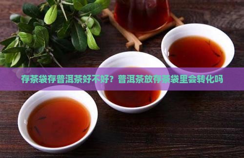 存茶袋存普洱茶好不好？普洱茶放存茶袋里会转化吗