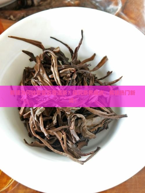 蔡澜为何独爱景迈普洱茶？探究茶界痛点，解锁热门新词！