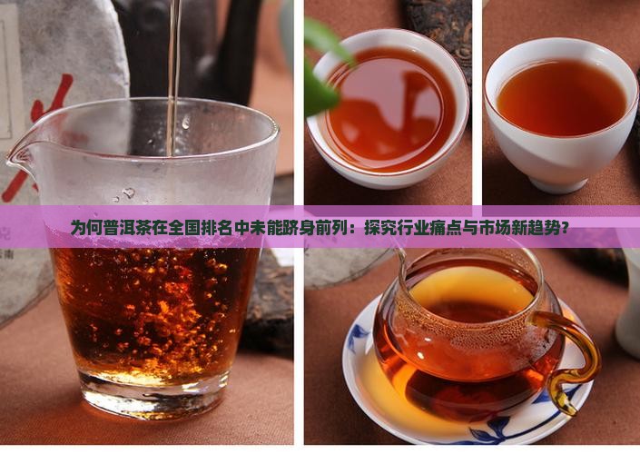 为何普洱茶在全国排名中未能跻身前列：探究行业痛点与市场新趋势？